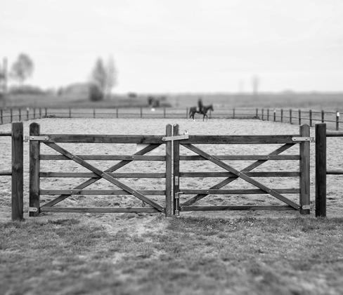 The fencing school afternoon sessions will focus on live construction demonstrations, fencing tools and fencing materials.