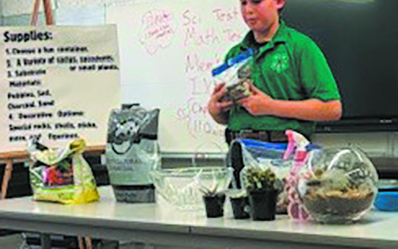 John M. demonstrates how to build a desert terrarium. Submitted photo