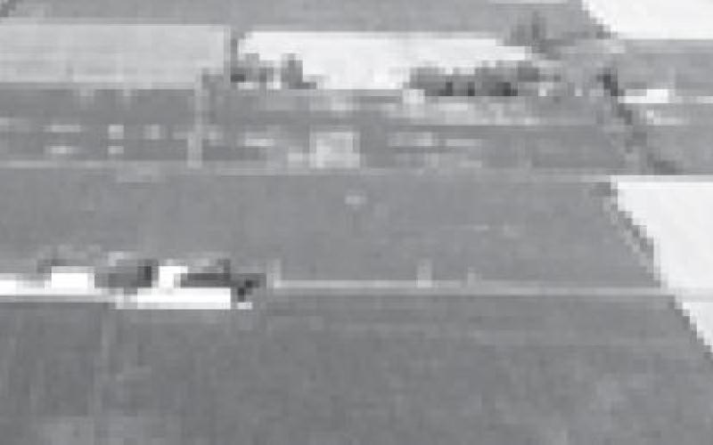 Alt Text for Image