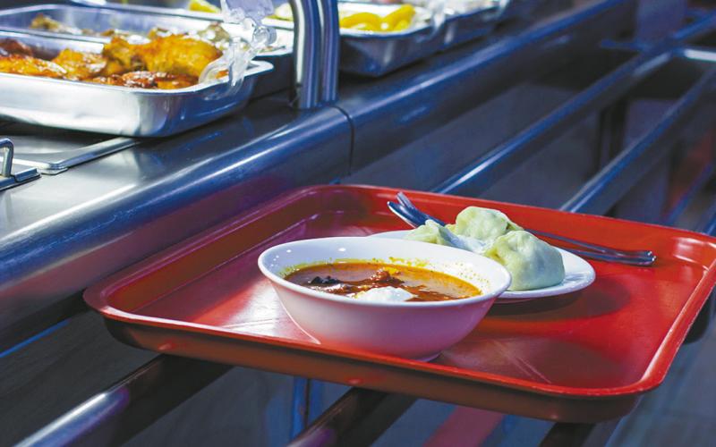 District 19 legislators vote against school lunch