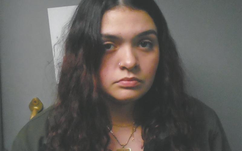 Grand Forks woman arrested for assault, terrorizing in Park River
