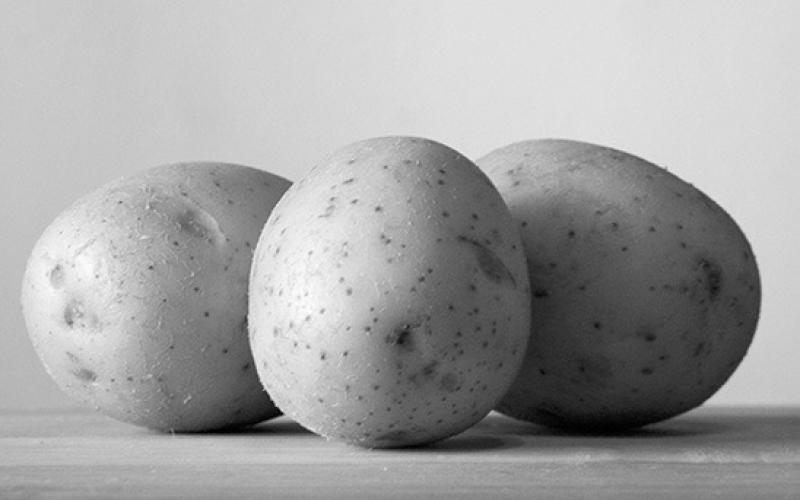 The Good Friday planting tradition is part of the potato’s rich and complicated cultural history. Pixabay photo
