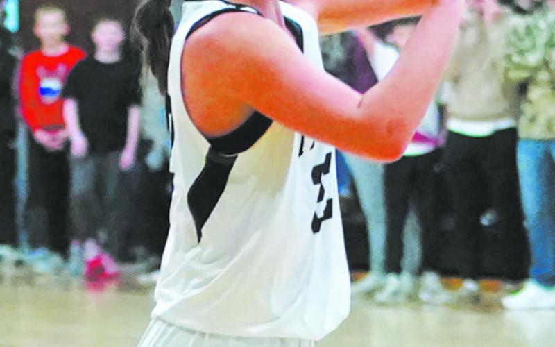 DVE’s Jaelyn Johnson is looking to pass during the game against Midway- Minto. Photo by Larry Stokke