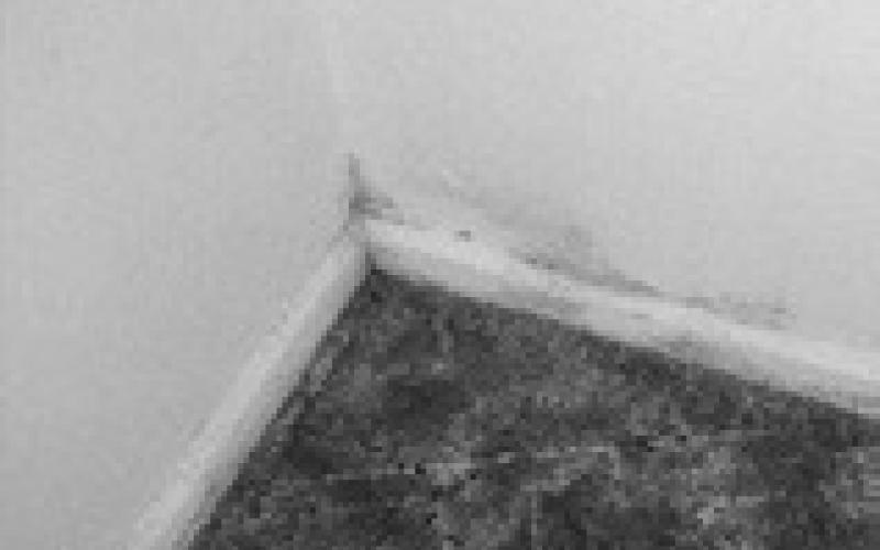 Mold in buildings is a human health hazard, and it must be removed, not just killed, to eliminate the hazard. (NDSU photo)