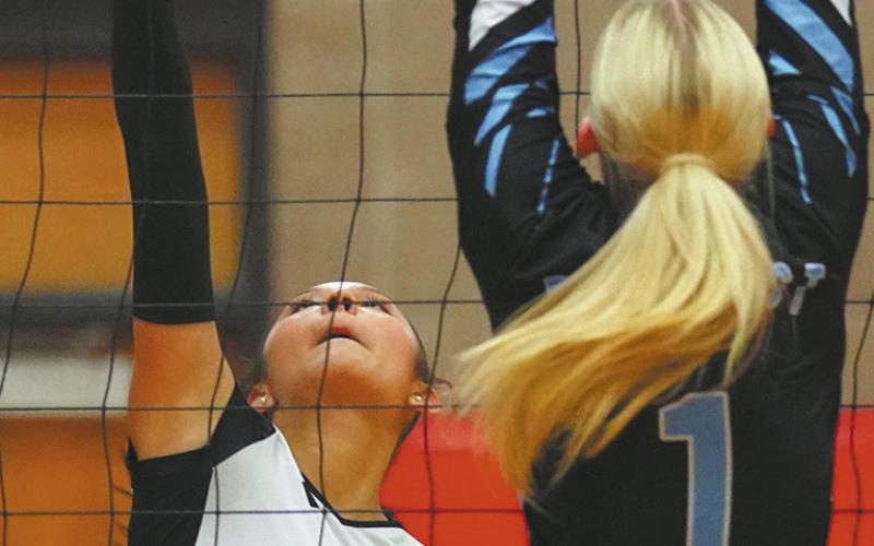 Senior Raelyn Knutson prepares to send the ball over the net. Photo by Larry Stokke.