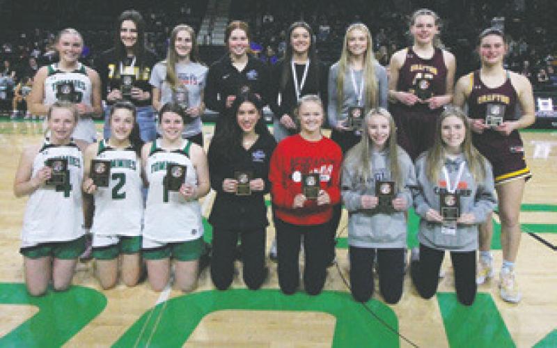 Region 2 Girls Basketball All-Region named