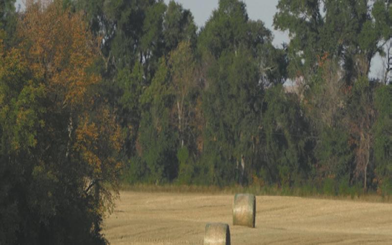 From 2011-16, we lost 2.2 million hunters nationwide amidst population increases. Photo courtesy of NDGF