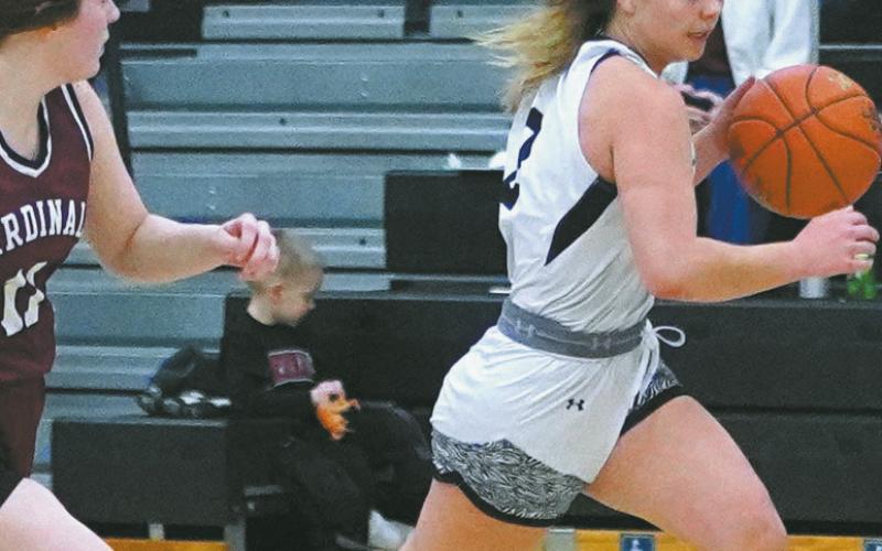 Brooke Gullickson hustles the ball up the court against Langdon defender Erika Bakke. Photo by Larry Stokke.