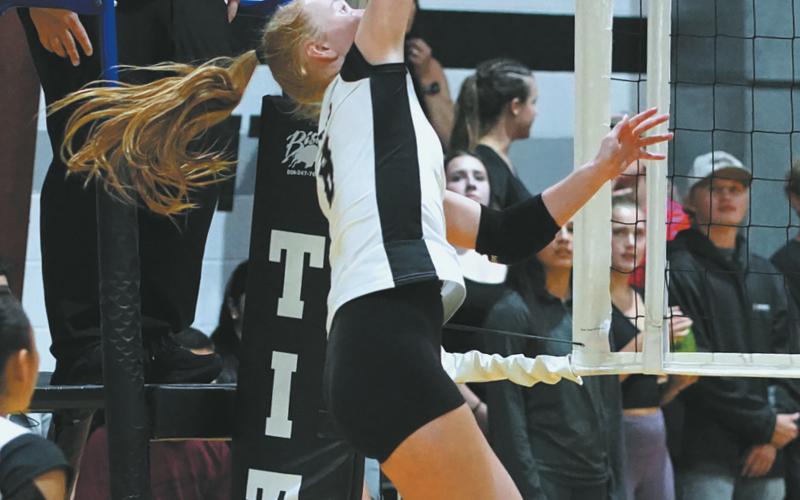 Peyton Larson slams the ball over the net in the match versus Park River. Photo by Larry Stokke