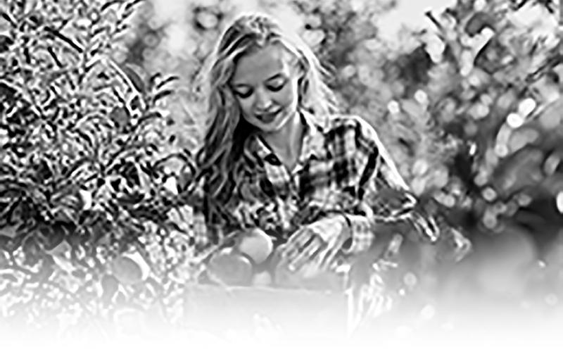 Goehring announces availability of orchard grants