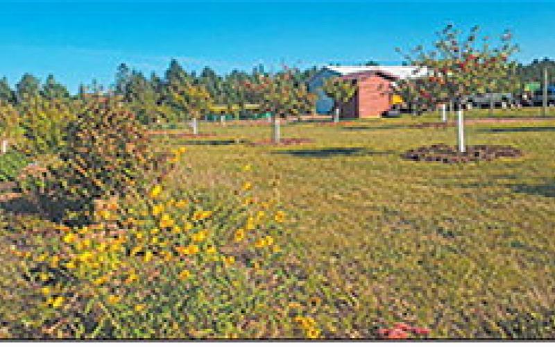 The Community Orchard has become a gathering spot, especially during the Pioneer Machinery Shows each fall. Submitted photo.