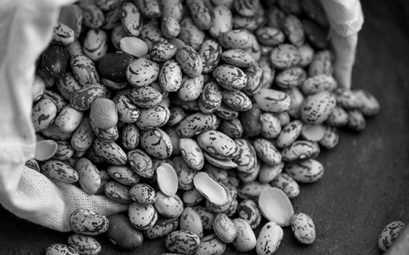 Beans are high in fiber, which is good for digestion. Pixabay photo