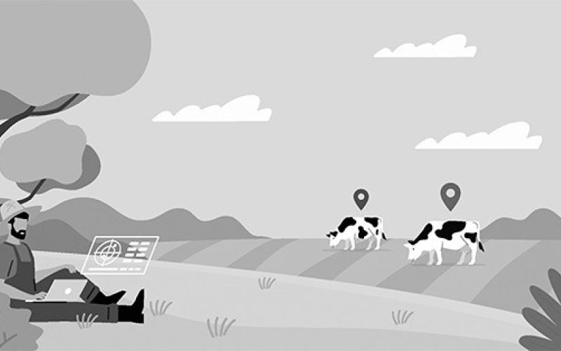 Scholarships offered by the North Dakota Stockmen’s Foundation in 2024