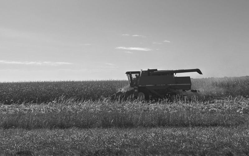 A farmer harvests corn beside Highway 163 in Iowa. Photo by Cami Koons/Iowa Capital Dispatch