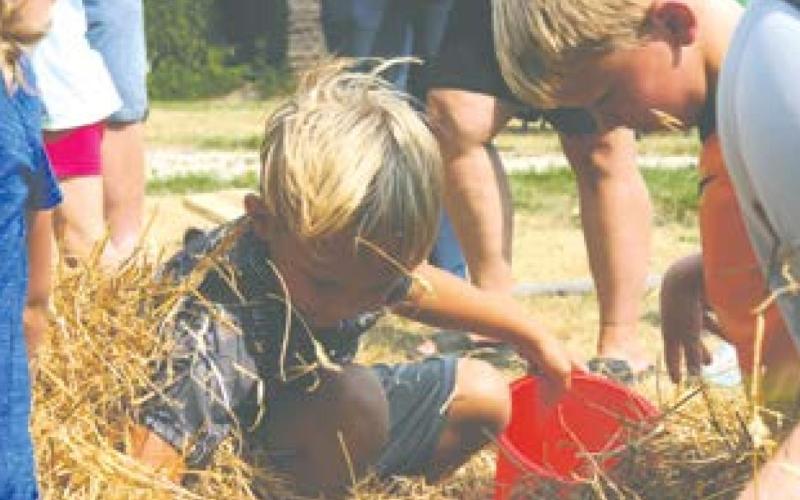 DRAYTON RIVERFEST / Releases Full Schedule of Events