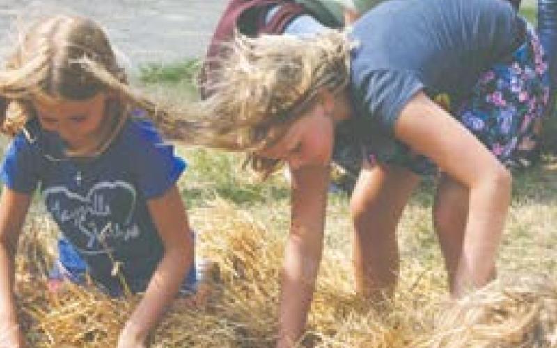 DRAYTON RIVERFEST / Releases Full Schedule of Events
