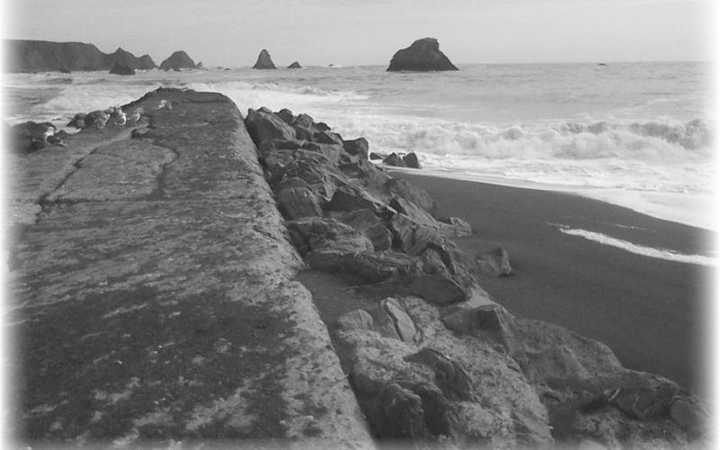 Photo by Clint Van Camp.