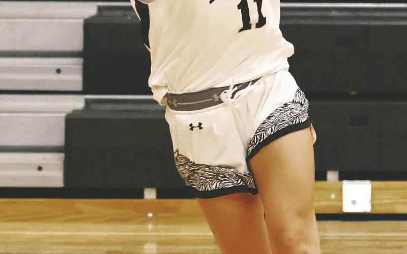 Jacey Nelson passes to an open team mate in action against Hatton-Northwood. Photo by Lyle Van Camp.