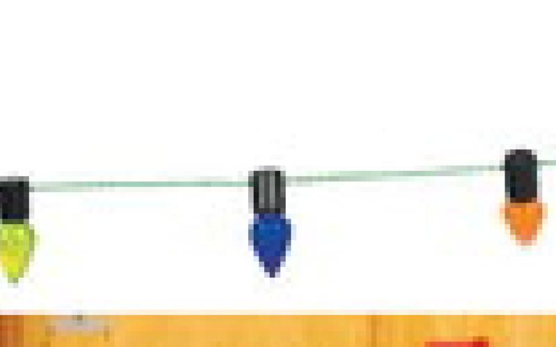 Alt Text for Image