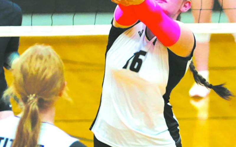 DVE junior Ingrid Myrdal prepares to send the ball over the net. Photo by Larry Stokke.