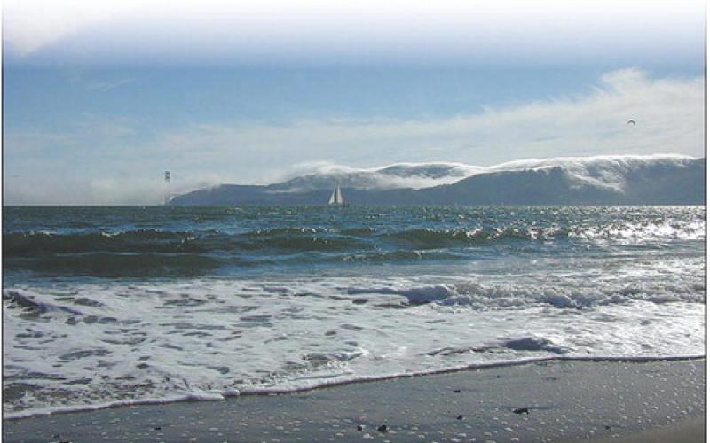 Fog bank on the Golden Gate. Photo by Clint Van Camp
