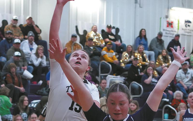 Aleah Pokrzywinski drives into the lane and drops in a basket. Photo by Larry Stokke
