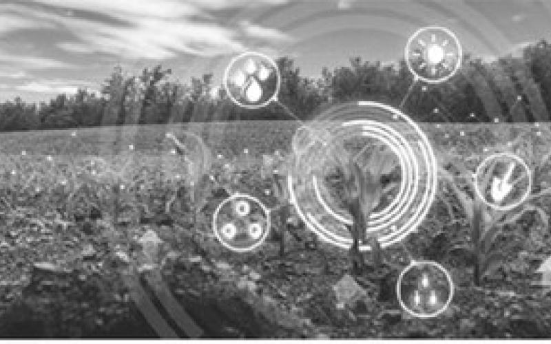 Five challenges facing modern farmers
