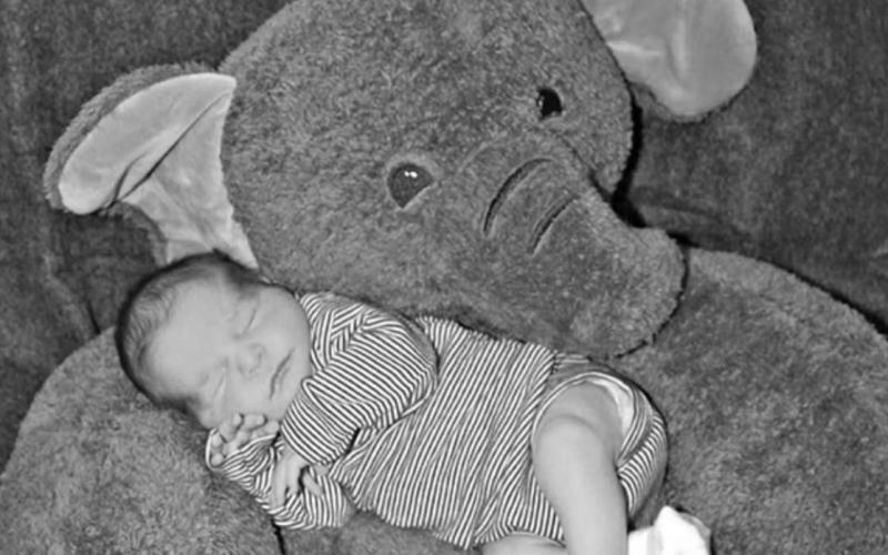 Birth Announcement