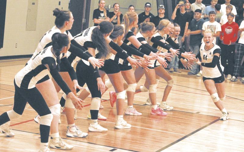DVE senior Alyssa Hoyles runs through the opening lineup before Thursday's volleyball game in Drayton.