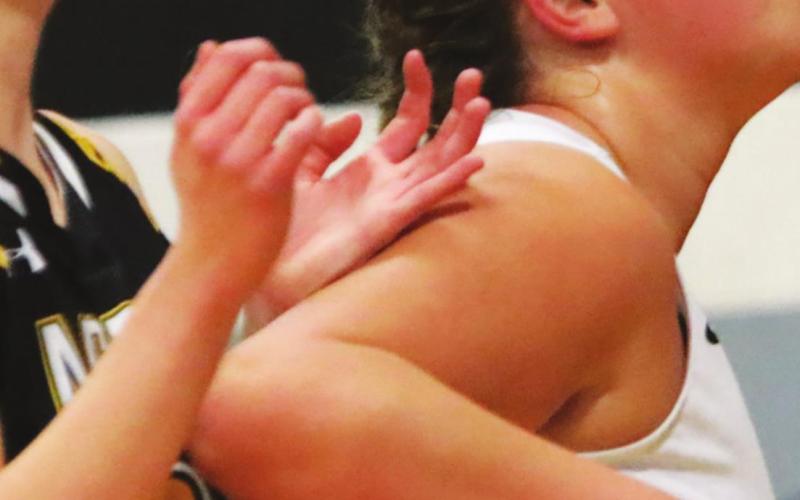 Hailey Berg concentrates on a rebound in action against Park River. Photo provided by Drayton Public School Darla Hoyles