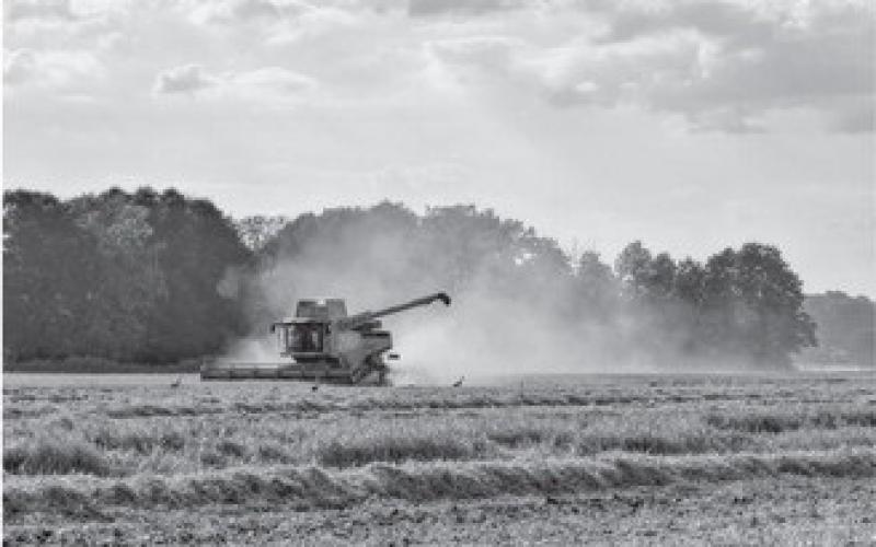 Our modern-day agriculture workers continue to toil to provide food for the world, but in more efficient ways. (Pixabay photo)