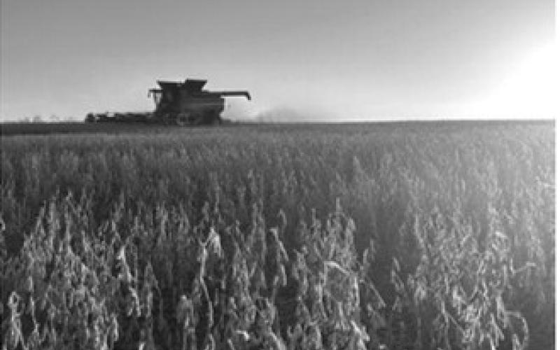 Rooted in agriculture on both sides of the border