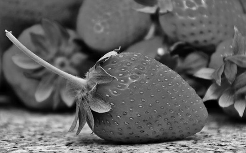 Backyard berries have incredible flavor. (Pixabay photo)