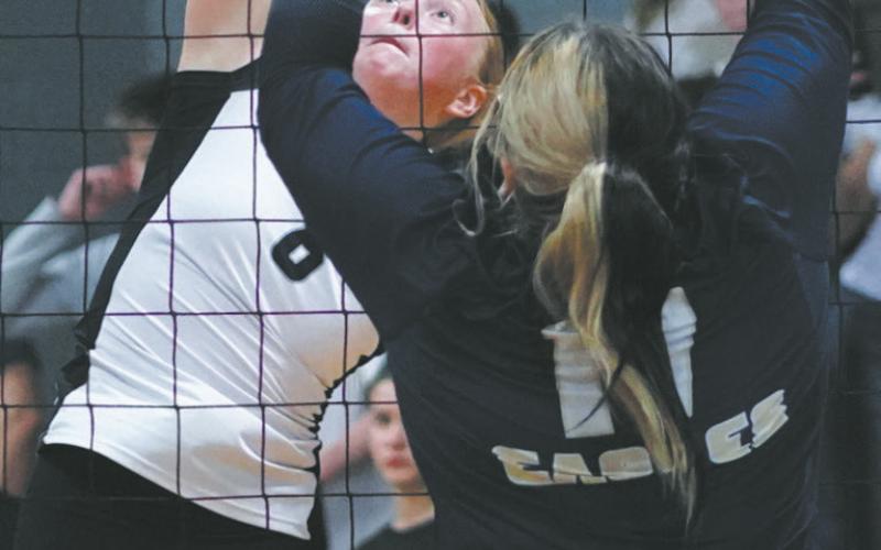 DVE sophmore Peyton Larson slams the ball towards North Border senior Jaelyn Forrey. Photo by Larry Stokke.