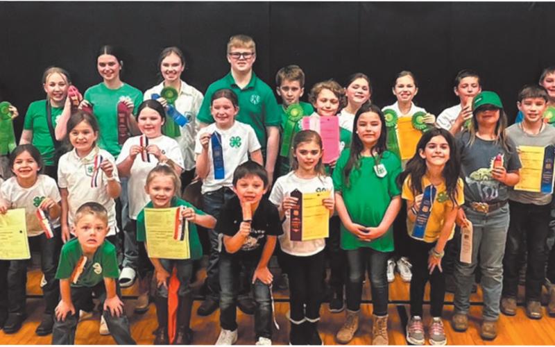 4-H Communication Arts
