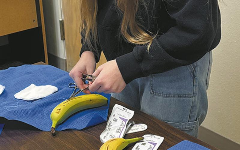 Kennedy Osowski practices suturing a banana during Scrubs Camp. Submitted photo.