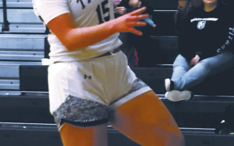 Aleah Pokrzywinski puts up a layup attempt against the Mustangs. Photo by Lyle Van Camp