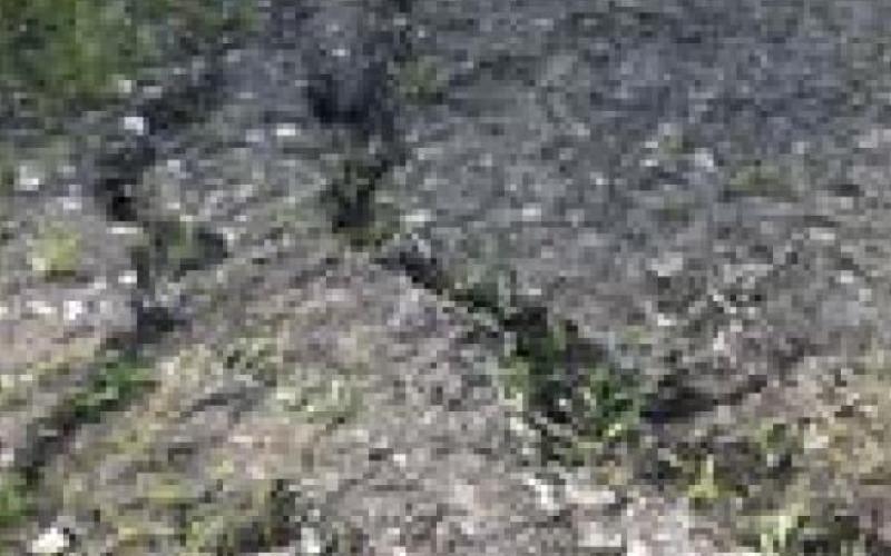 Frost Fire Park Mountain Bike Trail System ‘Demolished’