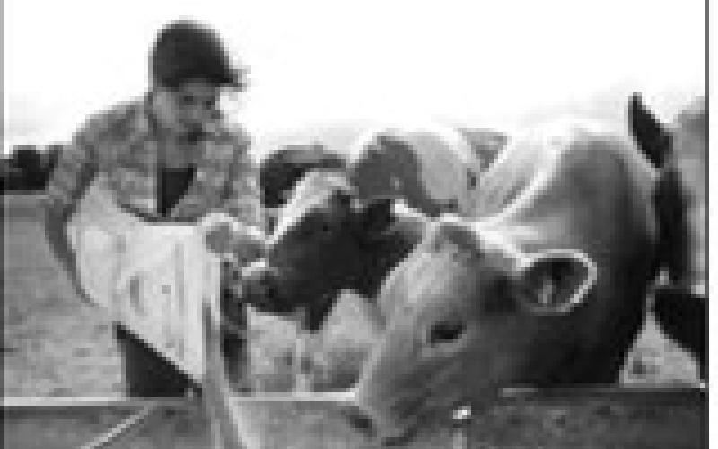 What’s coming for farming in 2026 - and why farm families will feel it first