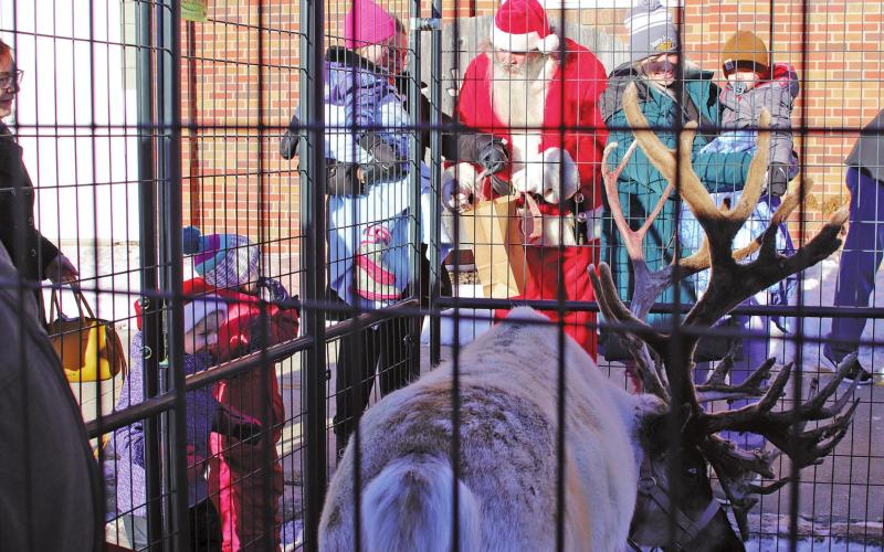 Santa handed out treats to the children who were at the H. G. Johnson Hall to see the reindeer from Reindeer Ranch owned by the Vernon Hoselton Family. Olaf is the reindeer that is pictured, Olaf had Rosie and Gertie with him on Saturday. VNV Photo by Lesa Van Camp