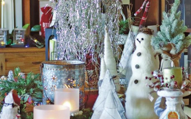 Some of the items that could be found for sale at the Valley Building and Home Design Center open house on Saturday Morning. VNV Photo by Lesa Van Camp
