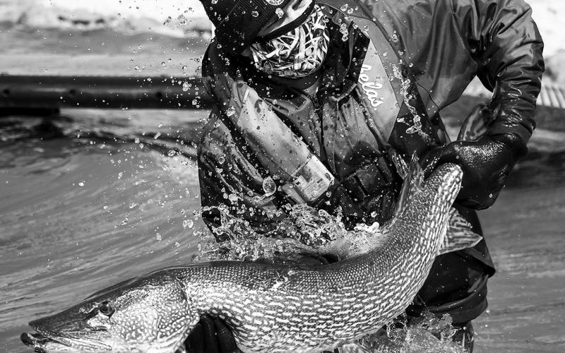 Did you know the Game and Fish Department manages 439 fishable waters which make up 851,462 acres? Submitted photo