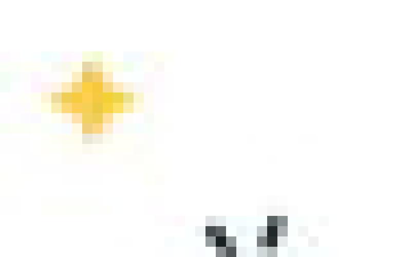 Alt Text for Image