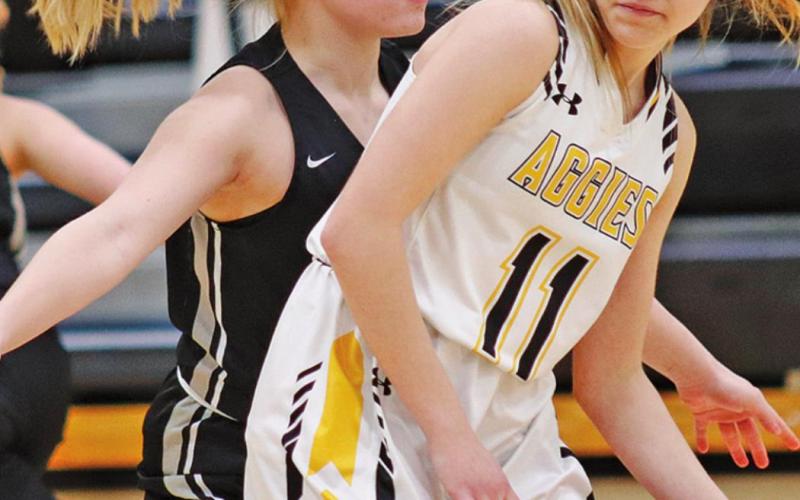 Reese Fering guards Aggie Emma Markusen as she tries to advance the ball down the court during the Region II play in game in Park River Saturday night. VNV Photo By Lesa Van Camp