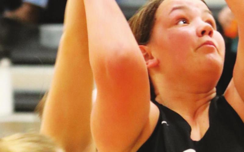 Hailey Berg puts up a shot Saturday in Park River. VNV photo by Lyle Van Camp