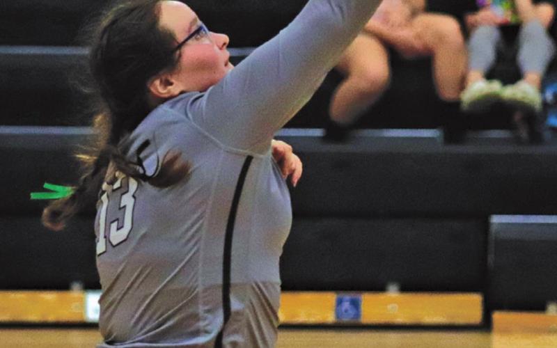 Aunna Laroque sends the ball over the net in the Drayton gym last Thursday night. VNV Photo by Lesa Van Camp