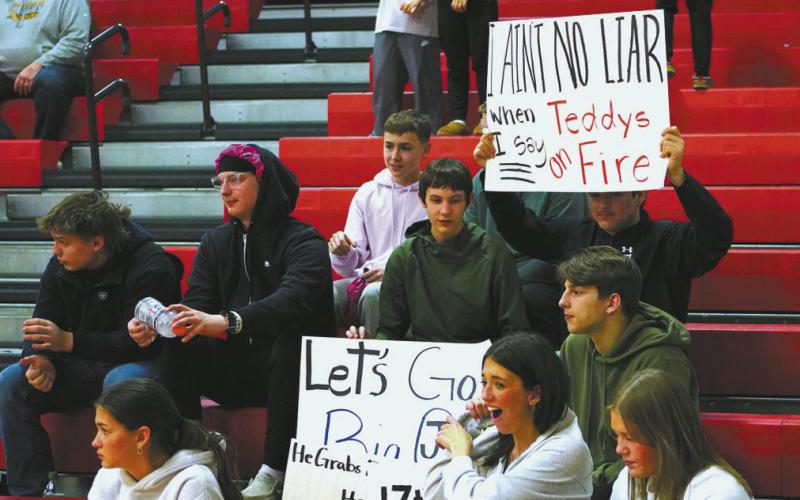 Titans fall short in District 3 Championship game