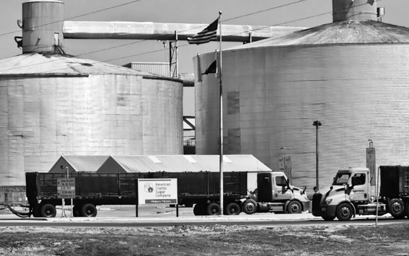 Trucks go in and out of the American Crystal Sugar beet processing plant at Hillsboro, N.D., on May 4, 2025. Jeff Beach/North Dakota Monitor