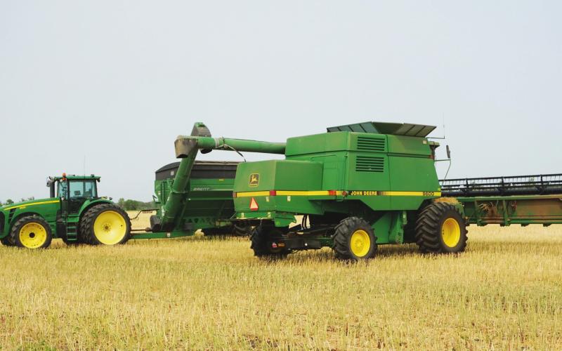 Grain harvest progressing well here