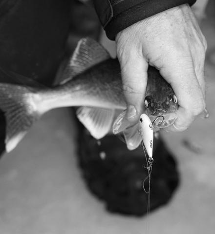 In North Dakota, some fishing regulations in the winter differ from summer regulations. Photo by NDGF